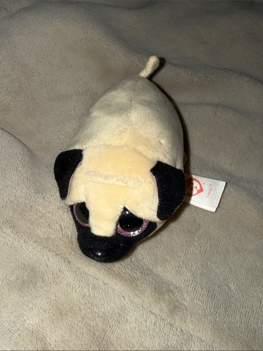 Ty Beanie Boo Plush Pug Kids Toy - Cream and Black